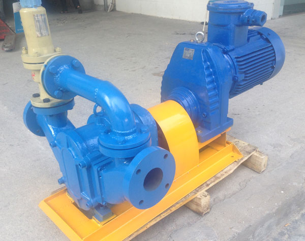 凸輪轉(zhuǎn)子泵廠家哪家好?要怎么看？