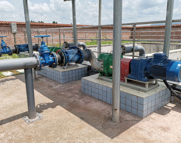 雙轉子凸輪泵 雙轉子凸輪泵