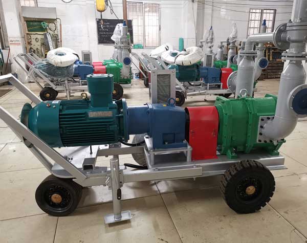 不銹鋼轉子泵生產廠家