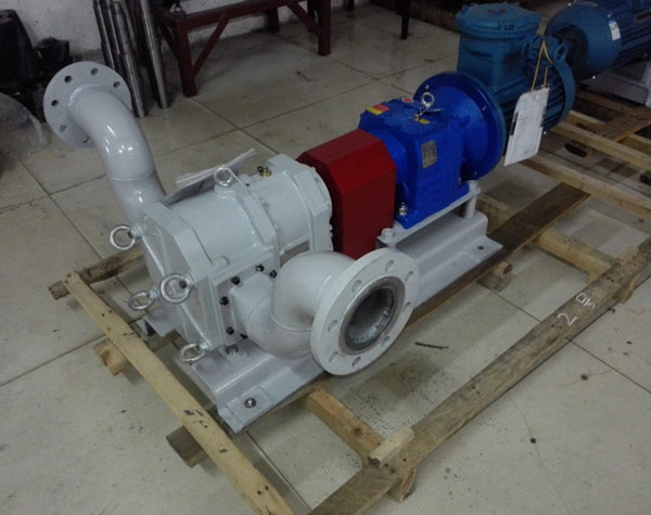 不銹鋼轉子泵生產廠家 不銹鋼轉子泵生產廠家