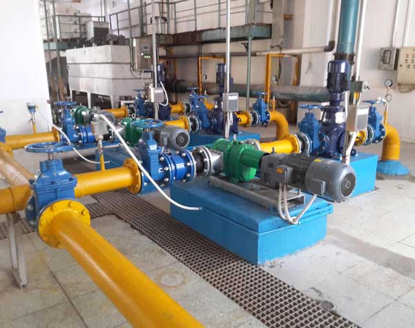 旋轉(zhuǎn)凸輪泵 旋轉(zhuǎn)凸輪泵