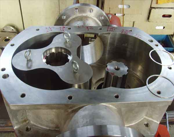 轉(zhuǎn)子泵的優(yōu)勢(shì)有什么?可以混合輸送嗎?