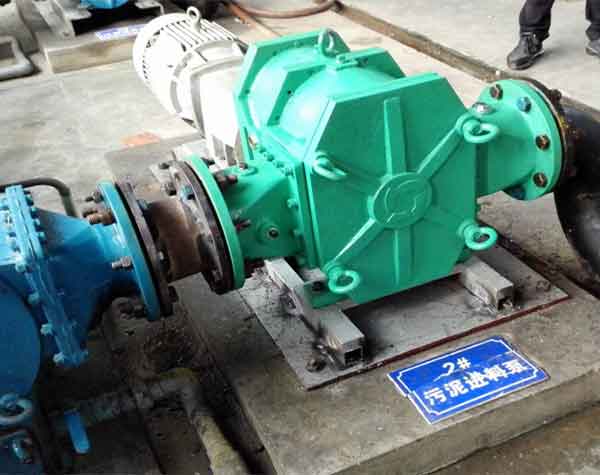 污泥進(jìn)料泵 污泥進(jìn)料泵